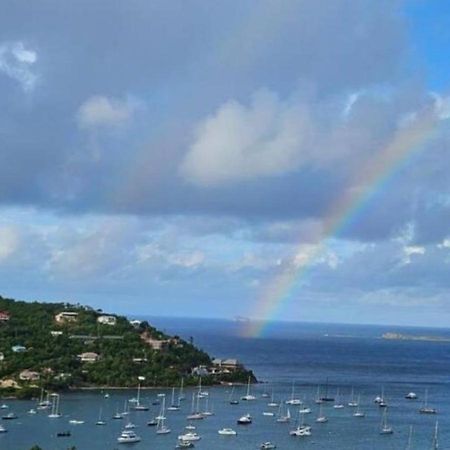 Bethany House - Immaculate Ocean Views Above The Westin Resort - Large Deck Cruz Bay Exterior foto